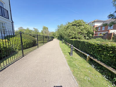 Picture 25